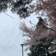 ヒメ日記 2025/05/07 13:08 投稿 あい 札幌回春性感マッサージ倶楽部