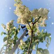 ヒメ日記 2025/05/16 21:48 投稿 あい 札幌回春性感マッサージ倶楽部