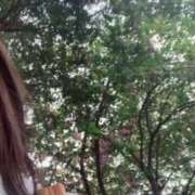 ヒメ日記 2025/05/23 08:28 投稿 あい 札幌回春性感マッサージ倶楽部