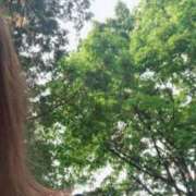 ヒメ日記 2025/05/29 08:48 投稿 あい 札幌回春性感マッサージ倶楽部