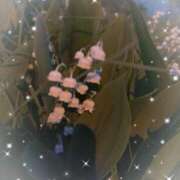 ヒメ日記 2025/05/31 17:28 投稿 あい 札幌回春性感マッサージ倶楽部