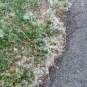 ヒメ日記 2025/06/06 08:32 投稿 あい 札幌回春性感マッサージ倶楽部