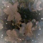 ヒメ日記 2025/06/09 20:48 投稿 あい 札幌回春性感マッサージ倶楽部