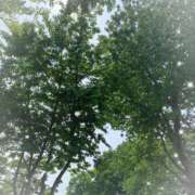 ヒメ日記 2025/06/24 23:48 投稿 あい 札幌回春性感マッサージ倶楽部