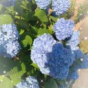 ヒメ日記 2025/07/14 05:28 投稿 あい 札幌回春性感マッサージ倶楽部