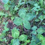 ヒメ日記 2025/08/12 21:32 投稿 あい 札幌回春性感マッサージ倶楽部