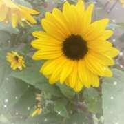 ヒメ日記 2025/08/14 08:28 投稿 あい 札幌回春性感マッサージ倶楽部