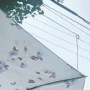 ヒメ日記 2025/09/02 08:28 投稿 あい 札幌回春性感マッサージ倶楽部