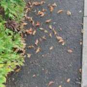 ヒメ日記 2025/10/27 09:08 投稿 あい 札幌回春性感マッサージ倶楽部