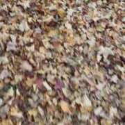 ヒメ日記 2025/11/06 08:28 投稿 あい 札幌回春性感マッサージ倶楽部