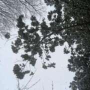 ヒメ日記 2025/12/12 12:28 投稿 あい 札幌回春性感マッサージ倶楽部