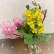 ヒメ日記 2026/03/03 18:48 投稿 あい 札幌回春性感マッサージ倶楽部