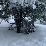 ヒメ日記 2026/03/10 08:48 投稿 あい 札幌回春性感マッサージ倶楽部