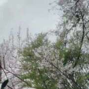 ヒメ日記 2026/04/28 18:00 投稿 あい 札幌回春性感マッサージ倶楽部