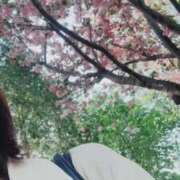 ヒメ日記 2026/05/15 08:18 投稿 あい 札幌回春性感マッサージ倶楽部