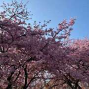 ヒメ日記 2026/03/14 15:07 投稿 かれん 横浜回春性感マッサージ倶楽部