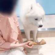 ヒメ日記 2025/04/07 09:43 投稿 リタ 名古屋痴女性感フェチ倶楽部