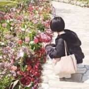 ヒメ日記 2025/04/20 10:03 投稿 リタ 名古屋痴女性感フェチ倶楽部