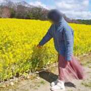 ヒメ日記 2025/04/26 10:04 投稿 リタ 名古屋痴女性感フェチ倶楽部