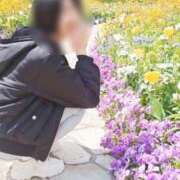 ヒメ日記 2026/02/25 09:32 投稿 リタ 名古屋痴女性感フェチ倶楽部