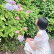 ヒメ日記 2026/07/29 09:32 投稿 リタ 名古屋痴女性感フェチ倶楽部