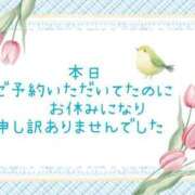 ヒメ日記 2025/04/29 19:28 投稿 やよい エレガンス(広島)