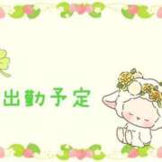 ヒメ日記 2025/05/11 01:12 投稿 やよい エレガンス(広島)