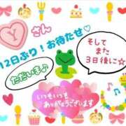 ヒメ日記 2025/09/12 01:48 投稿 やよい エレガンス(広島)