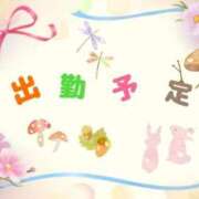 ヒメ日記 2025/09/15 20:08 投稿 やよい エレガンス(広島)