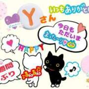 ヒメ日記 2026/01/13 15:38 投稿 やよい エレガンス(広島)