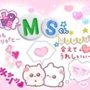 ヒメ日記 2026/01/29 10:28 投稿 やよい エレガンス(広島)