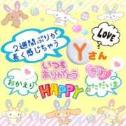 ヒメ日記 2026/02/01 14:38 投稿 やよい エレガンス(広島)