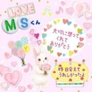 ヒメ日記 2026/02/28 13:28 投稿 やよい エレガンス(広島)