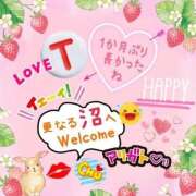 ヒメ日記 2026/03/15 02:48 投稿 やよい エレガンス(広島)