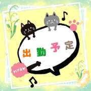 ヒメ日記 2026/04/21 23:08 投稿 やよい エレガンス(広島)