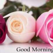 ヒメ日記 2025/01/20 09:48 投稿 まりあ エレガンス(広島)