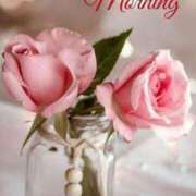 ヒメ日記 2025/04/03 09:38 投稿 まりあ エレガンス(広島)