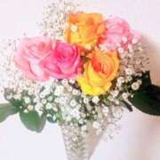 ヒメ日記 2025/04/05 19:38 投稿 まりあ エレガンス(広島)