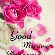 ヒメ日記 2025/04/08 09:32 投稿 まりあ エレガンス(広島)