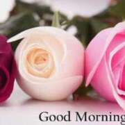 ヒメ日記 2025/06/30 09:51 投稿 まりあ エレガンス(広島)