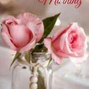 ヒメ日記 2025/07/04 09:18 投稿 まりあ エレガンス(広島)