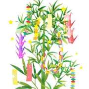 ヒメ日記 2025/07/07 09:48 投稿 まりあ エレガンス(広島)