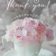 ヒメ日記 2025/11/06 00:18 投稿 まりあ エレガンス(広島)