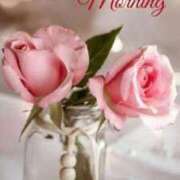 ヒメ日記 2025/11/18 09:18 投稿 まりあ エレガンス(広島)