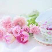 ヒメ日記 2026/01/27 08:58 投稿 まりあ エレガンス(広島)