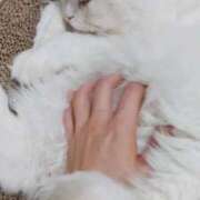 ヒメ日記 2024/12/12 09:02 投稿 リタ 名古屋回春性感マッサージ倶楽部