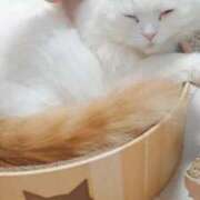 ヒメ日記 2024/12/31 09:21 投稿 リタ 名古屋回春性感マッサージ倶楽部