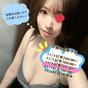 ヒメ日記 2025/11/12 23:50 投稿 なな Sexy Club 月TOKYO