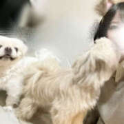 ヒメ日記 2025/11/24 23:21 投稿 なな Sexy Club 月TOKYO