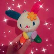 ヒメ日記 2025/11/23 16:54 投稿 ゆうな マリン熊本本店